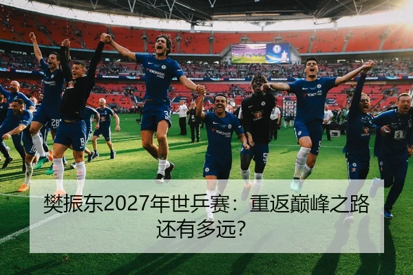 樊振东2027年世乒赛：重返巅峰之路还有多远？