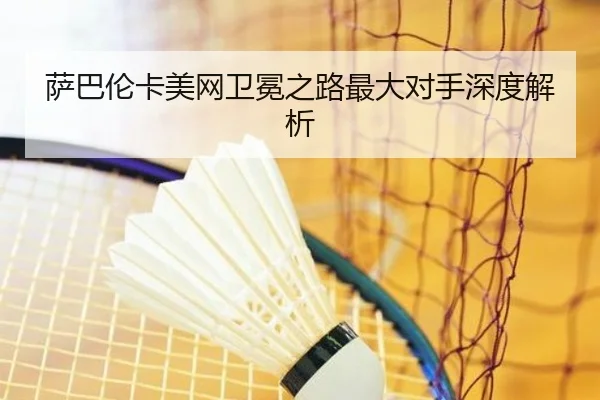 萨巴伦卡美网卫冕之路最大对手深度解析